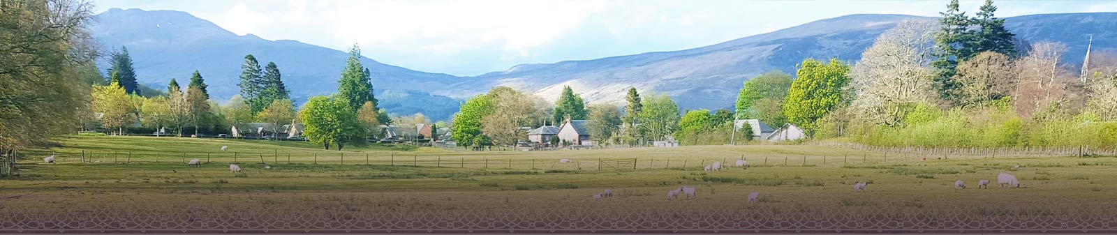 A Farmer' s grassy field, bordered by trees and the tops on the lowland hills peek over them in the background